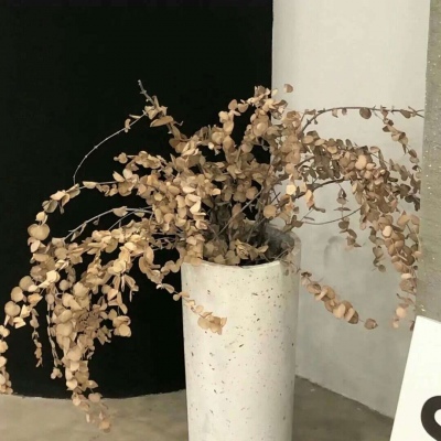 Furry绘画笔刷实用运用兽圈社群